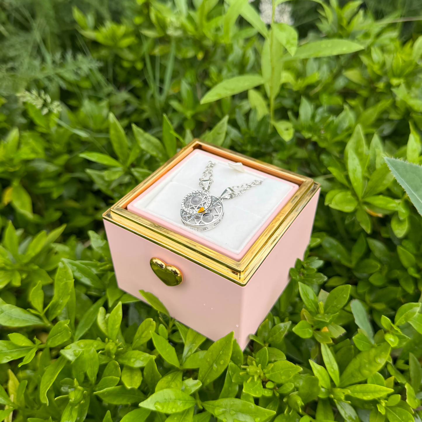 Love in 100 Languages Couple  Necklace with Preserved Flower Box Packaging