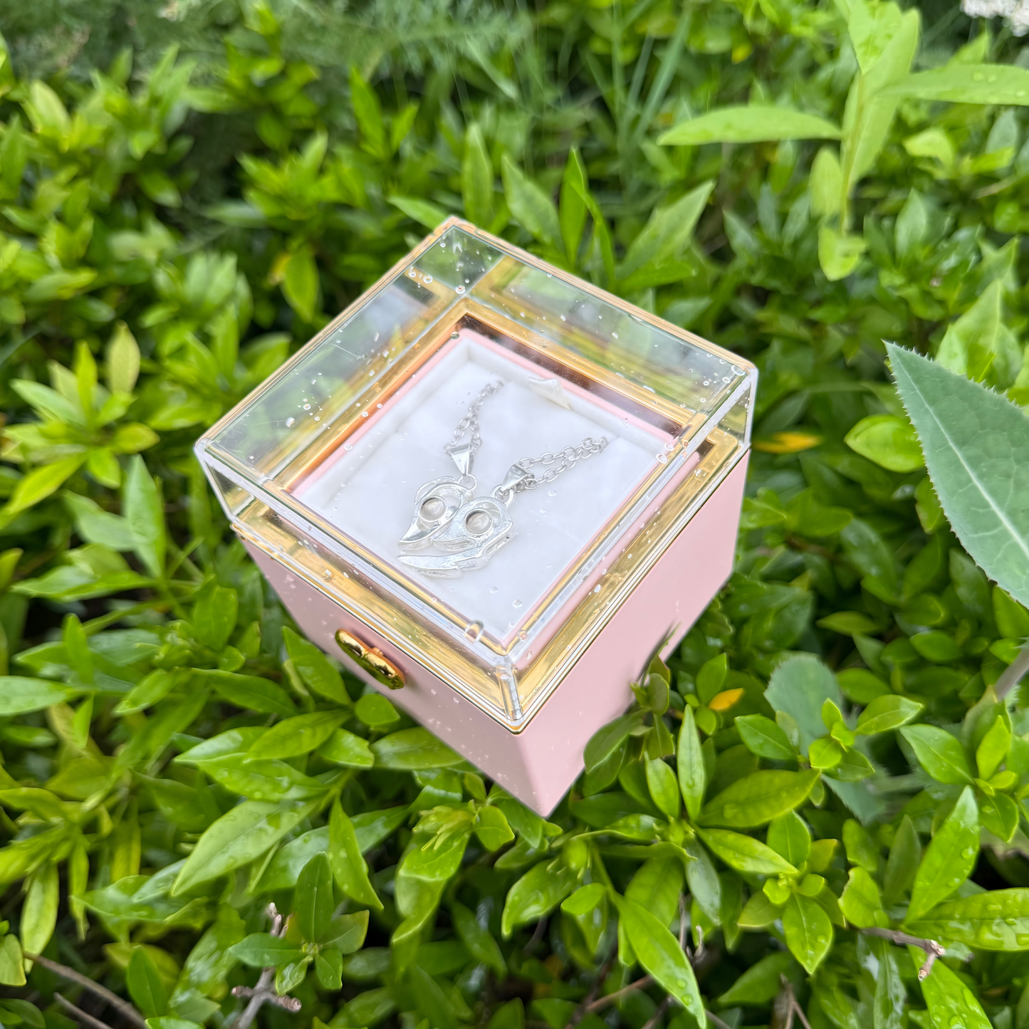Love in 100 Languages Couple  Necklace with Preserved Flower Box Packaging